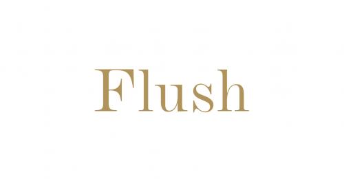 flush-detail-logo